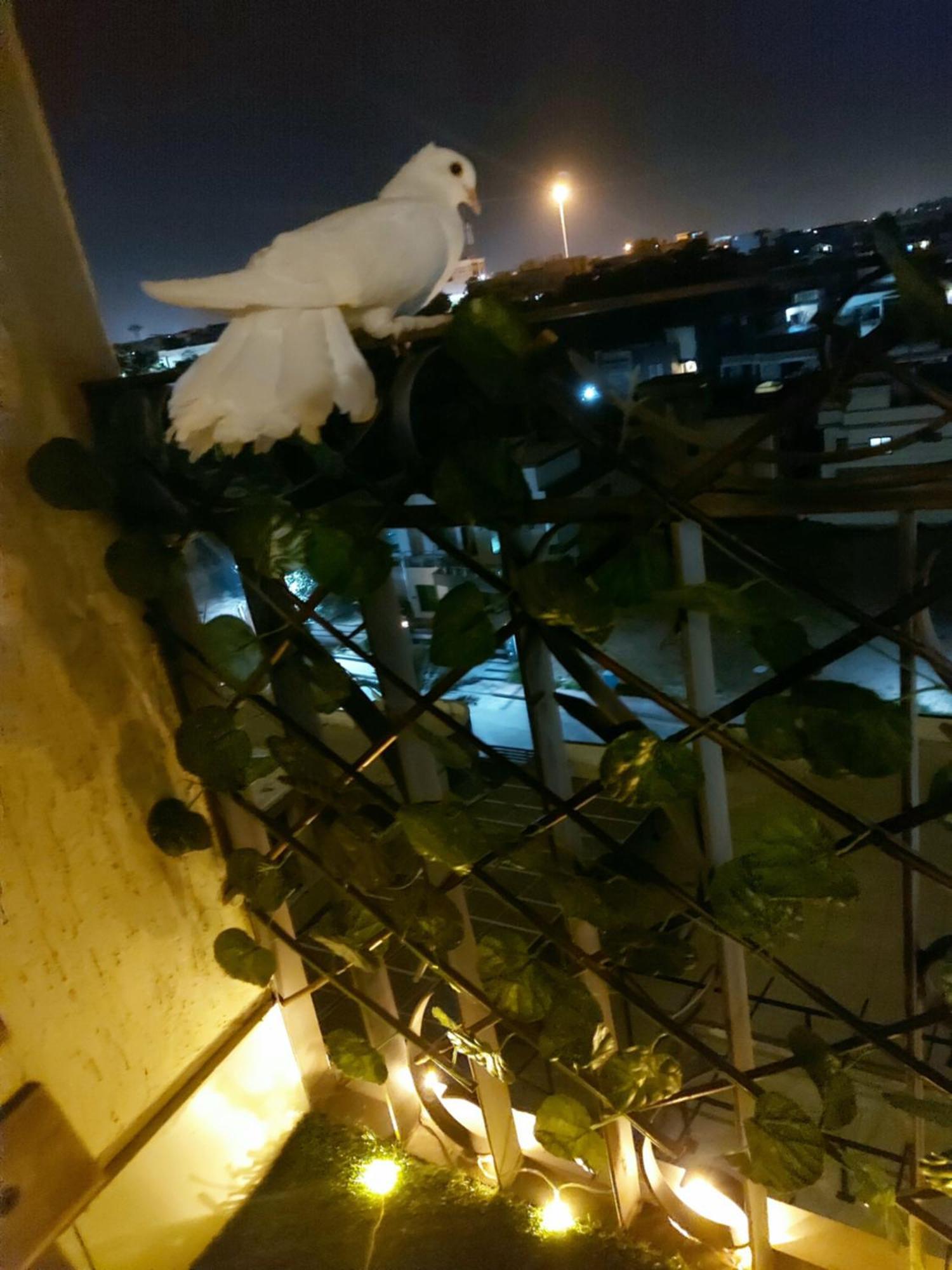 Aesthetic Scenic Luxurious Apartment - Bahria Heights 라왈핀디 외부 사진